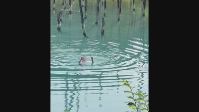 「大変危険な行為」…遊泳禁止の人気観光地「青い池」で外国人男性が泳ぐ姿が目撃される　北海道美瑛町