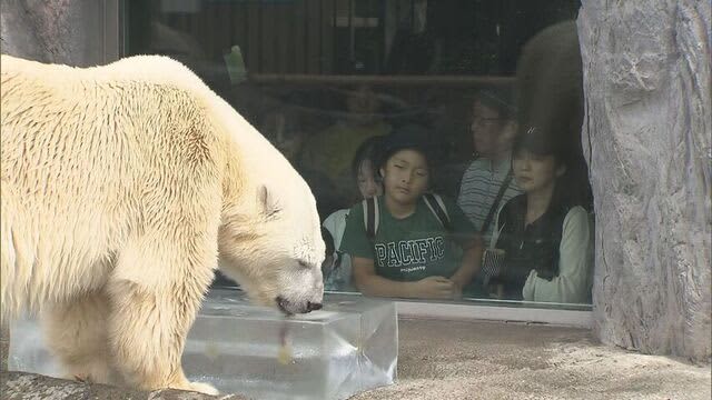 「暑さしのいで」地元企業が動物たちに氷のブロックプレゼント　北海道・旭山動物園