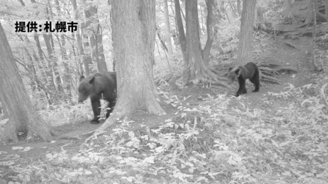 またクマが…　札幌市の三角山登山道で“クマの姿”撮影される　解除予定だった登山道の閉鎖　延長