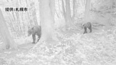 またクマが…　札幌市の三角山登山道で“クマの姿”撮影される　解除予定だった登山道の閉鎖　延長