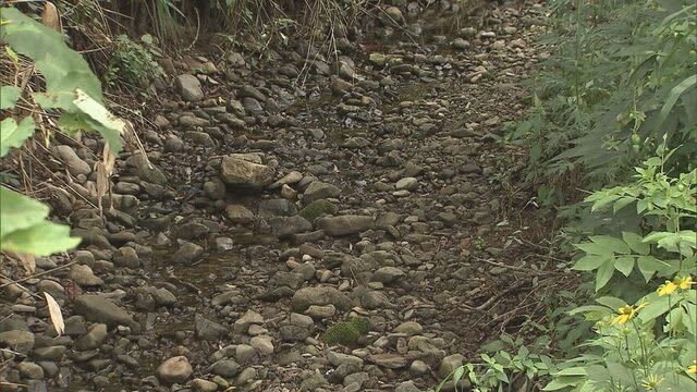 北海道黒松内町を流れる川　謎の“水枯れ”　北海道新幹線のトンネル工事が関連か