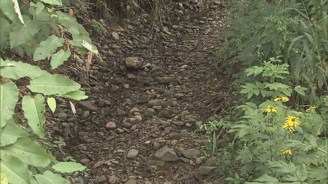 北海道新幹線の掘削工事で上を流れる川の水枯れ問題　地下水モニタリングせず　鉄道・運輸機構