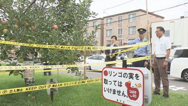 リンゴを守れ！北海道警察などが札幌市豊平区の「リンゴ並木」をパトロール