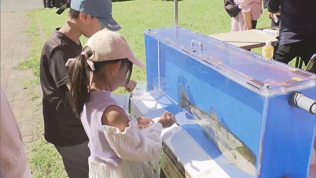 「触れ合うのにいい機会」サケの生態学ぶイベント「サケフェスタ」に多くの家族連れ　札幌市