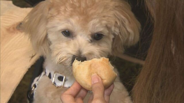 飼い主とペットが一緒に食べられるメニューも…動物病院の隣に「ペットと楽しめる」カフェが登場　旭川市