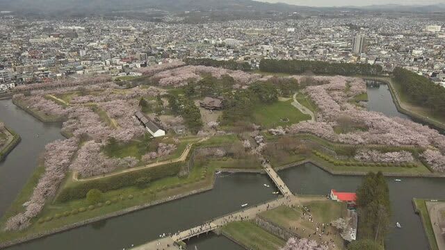 函館市1位 「自治体ブランドランキング 」高齢者に高い訪問率　専門家「過去のブランドイメージの蓄積」