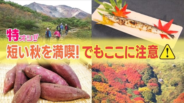 秋の行楽シーズン到来！でもこの時期ならではの危険生物に気をつけて！