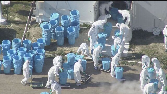 養鶏場で死んだニワトリ 遺伝子検査で高病原性鳥インフルエンザ陽性と判定 1万9千羽の殺処分開始　厚真町