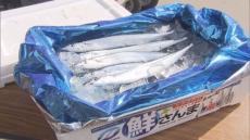 豊漁で去年より1000円以上安　札幌・赤れんが庁舎前で目玉「生サンマの箱売り」 　まるごと根室直送市