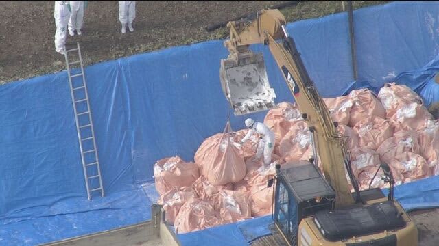 食肉用ニワトリ約2万羽の殺処分終える　高病原性鳥インフルエンザが確認された北海道・厚真町の養鶏場で