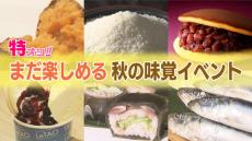 特オシ！冬を前にまだまだ楽しめる北海道の美味しい行楽情報！海の幸もスイーツも