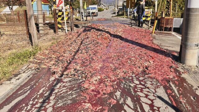 「踏切を通行した時に荷台から魚のアラが落ちた」北海道・北斗市の道南いさりび鉄道の踏切で大量の魚が散乱