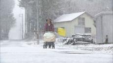 「関西の真冬ぐらい寒くてめちゃびっくり」北海道内各地で冷え込み　道北を中心に雪　冬の準備も進む