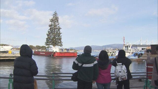 「すごくいい思い出になりました。」函館市のベイエリアに高さ約20メートルのクリスマスツリーが登場