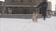 二十四節気「大雪」　道内全観測地点で氷点下　札幌も今季最低