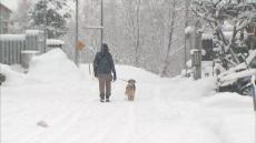 「本当に降らないで」日本海側を中心に雪降り積もる　神秘的現象も出現