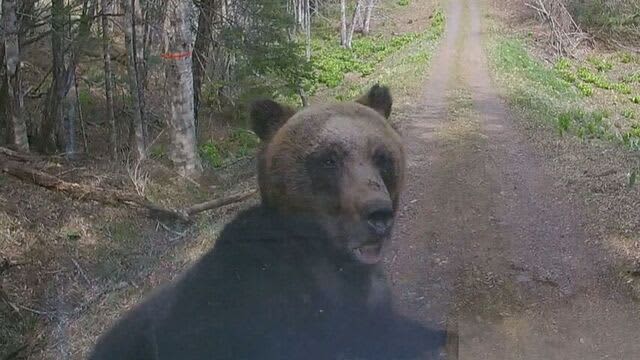 猟銃許可取り消しなど「クマ駆除」めぐる問題　自治体と猟友会などが意見交換　岩見沢市