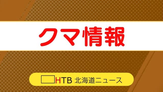 冬眠しないクマか　雪の上に残された足跡見つかる