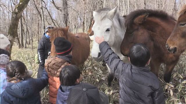 「まるっこくて可愛い」冬休み中の小学生が「道産子」と触れ合う体験会　北海道・新ひだか町