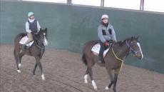 日高町　ホッカイドウ競馬開幕に向けて本格的トレーニング