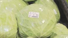 もはや「高級野菜」のキャベツ　半玉でも400円超え「これ以上上がってほしくない」値上げの背景は？