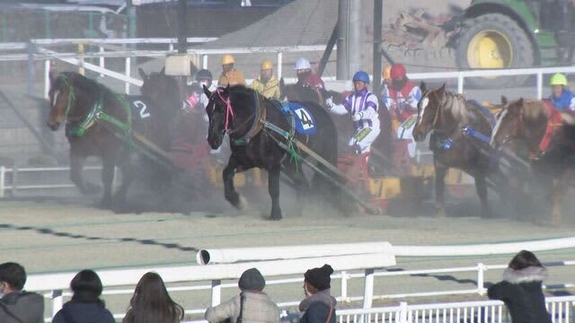 ばんえい競馬　馬が「発熱」で相次いでレース出走取りやめ　専門家「人にうつることはありません」帯広市