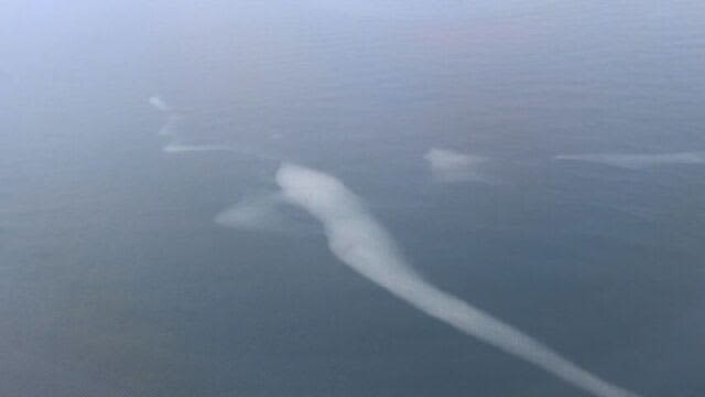 今季初の流氷を確認　網走沖約85kmの海上　第一管区海上保安本部の航空機が確認