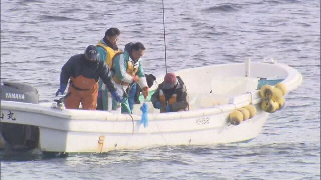 漁の再開に向け海水や海産物の調査開始　恵山岬沿岸でタンカー座礁し重油流出