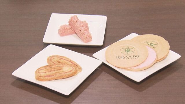 新たな定番土産めざす　北大が開発「北大ラズベリー」使ったお菓子のお披露目「程よい甘酸っぱさ」