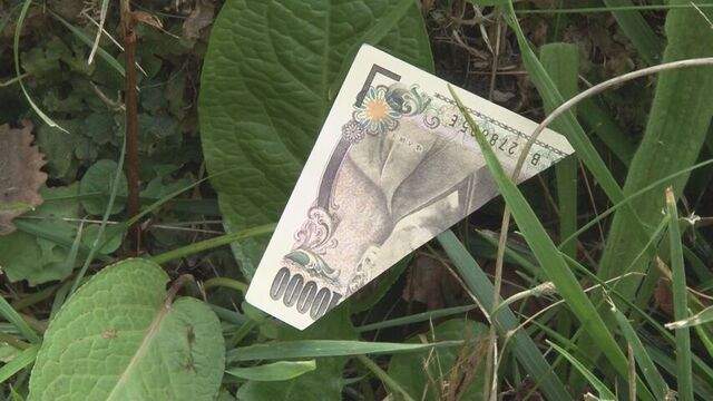 稚内市の公園で捨てられた大量の切り刻まれた「旧1万円札」…警察が回収し調べる