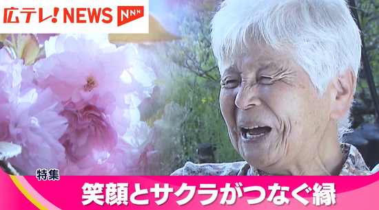 【特集】隠し味は笑顔！　84歳のおばあちゃんが作る「桜の塩漬け」