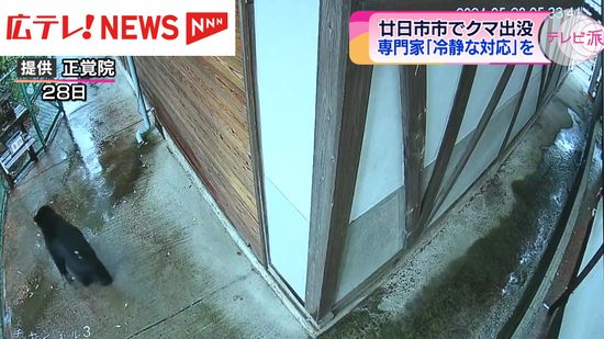 クマ　広島県廿日市市で目撃相次ぐ　専門家は「冷静な対応を」