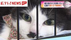 【能登半島地震】「被災地のネコを救いたい」広島で譲渡会