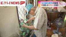 広島の９４歳「スズムシおじさん」が育てるスズムシ　秋の訪れ告げる音色を響かす