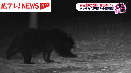 【クマ出没】安佐動物公園で確認　西園を全面閉鎖