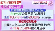 広島県内でも始まる冬支度　寒い季節に欠かせない鍋料理は葉物野菜高騰で食卓悲鳴　