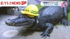 43年連れ添った飼い主が涙･･･ ワニのカイマンくん死ぬ　広島・呉市