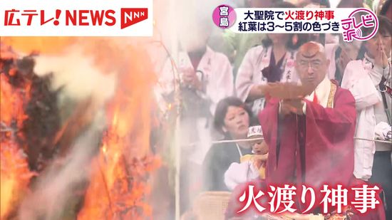 宮島で火渡り神事　紅葉はまだ半分ほどの色づき