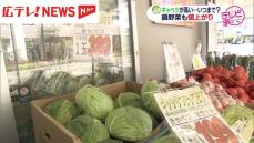 キャベツが高い！　葉物野菜の価格高騰いつまで　広島