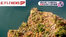 紅葉求めて空中散歩　県内各地で木々色づく