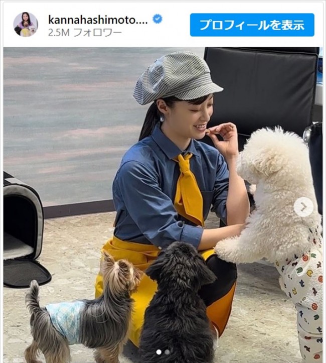 橋本環奈、かわいい動物たちと触れ合い「天使が舞い降りてる」「可愛い子の周りには可愛い子が寄ってくる」