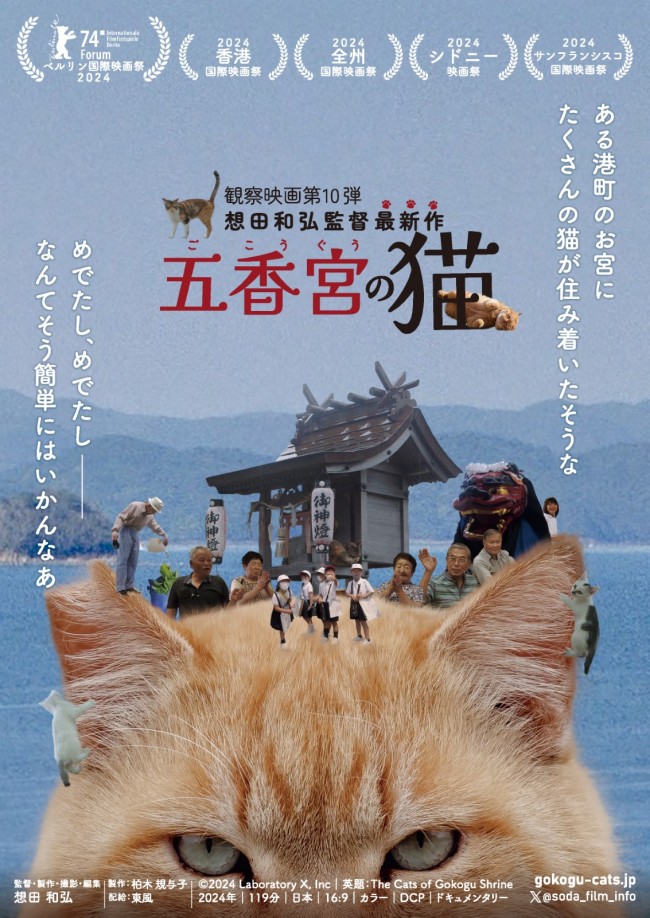 人と猫と自然の共生を映し出すドキュメンタリー映画『五香宮の猫』本予告解禁　ほしよりこ、小林聡美らのコメントも到着