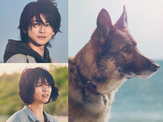 高橋文哉＆西野七瀬主演『少年と犬』主題歌はセカオワに！　出逢いと別れ描く最新予告解禁