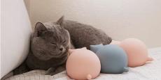 【猫型湯たんぽ】電子レンジでまるで猫を抱いているかのような温もり！〈キャットウォーマー〉が登場だよ | News