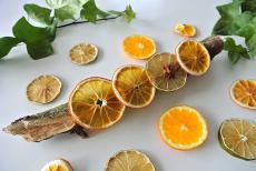 植木おじさんに聞く【15】フルーツで楽しむDIY、インテリア用ドライオレンジの作り方