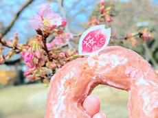 【ミスド実食速報】本日発売！さくら香る「桜もちっとドーナツ」はもっちもち
