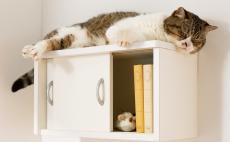 猫も人も快適に！「収納棚としても使えるキャットステップ」
