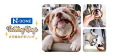 愛犬用デンタルケア「N-BONE」が日本に初上陸！どんな商品？