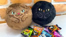 完売続出【カルディの猫ポーチに悶絶！ 】ハロウィンのネコお菓子2024