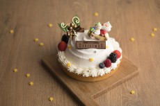 見た目も味もサプライズ満載のケーキ～シェラトン クリスマスケーキコレクション